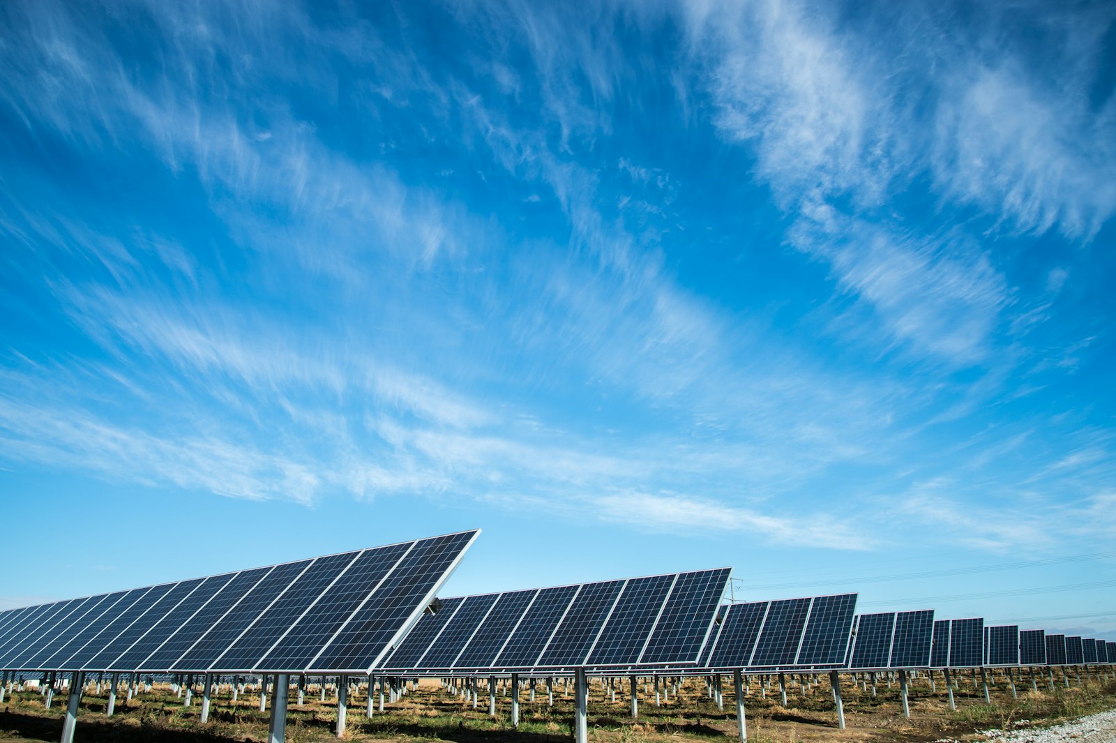 Solar farm under a clear sky
